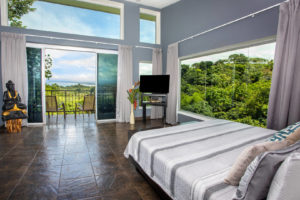 ultimate-rainforest-and-ocean-view