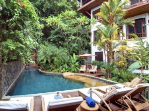 pool-surrounded-by-lush-plants