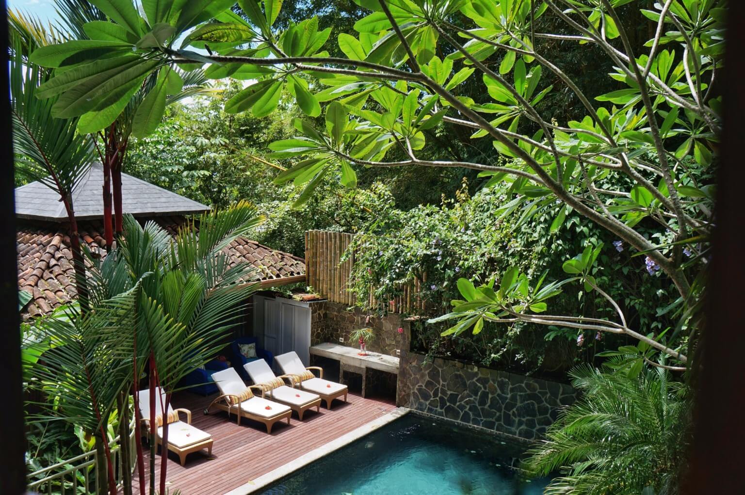 Privacy in the jungle pool