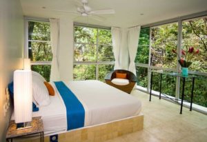 Guest room surrounded by tropical jungle