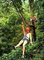Zip through the Rainforest Canopy on Cables and Ziplines, experiencing the jungle in a new way