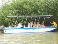 A relaxing boat ride through the exotic Mangroves near the Palm Plantations of Quepos, Costa Rica