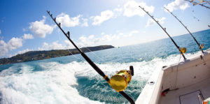 Activities - Sport Fishing