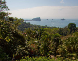 View of Manuel Antonio from pool