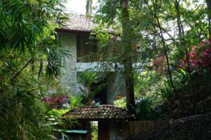 The-Tree-House-Manuel-Antonio-Costa-Rica-Front-Entrance